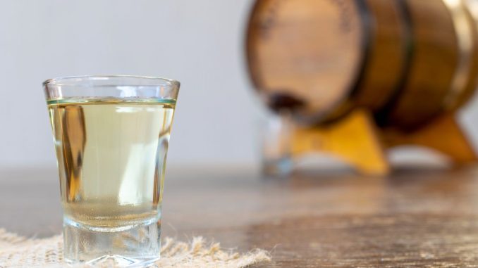 Cachaça envelhecida (imagem: Canva) Cachaça envelhecida (imagem: Canva)